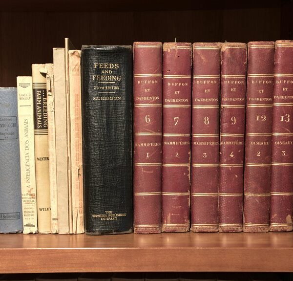 code series consolidation archive