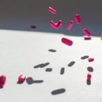 numeric intake manifest details