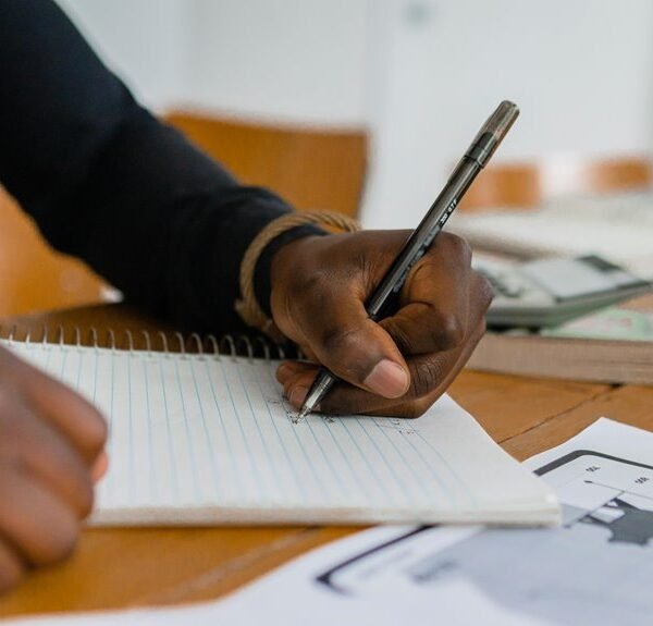 numeric record summary overview