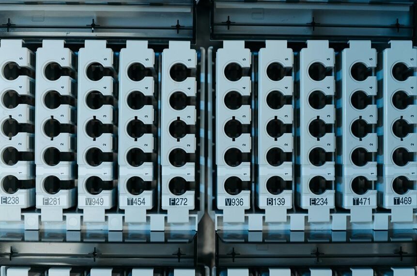 numerical sequence analysis required