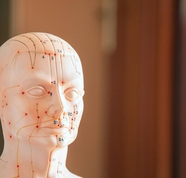 quantitative intake reference data