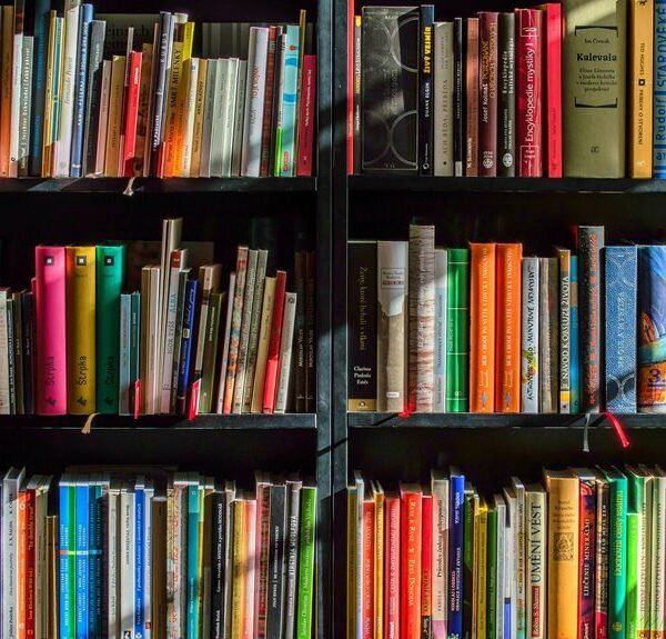 reference chain sequencing dossier