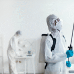 The Hidden Lifecycle of Termites Inside Residential Properties